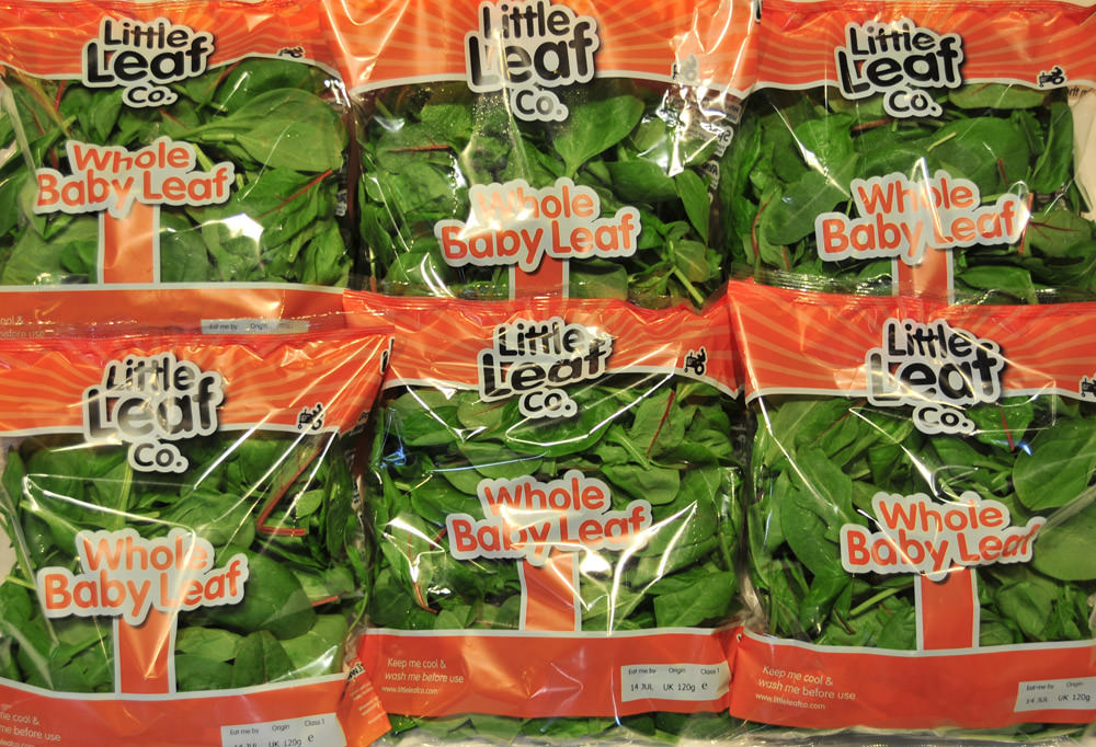 Lettuce Pray Branding, Packaging & Design Agency In Shropshire