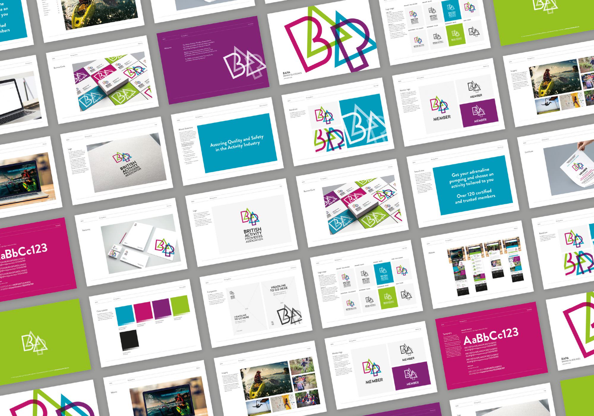 BAPA - Branding, Web Design & Stationery By Source In Shropshire