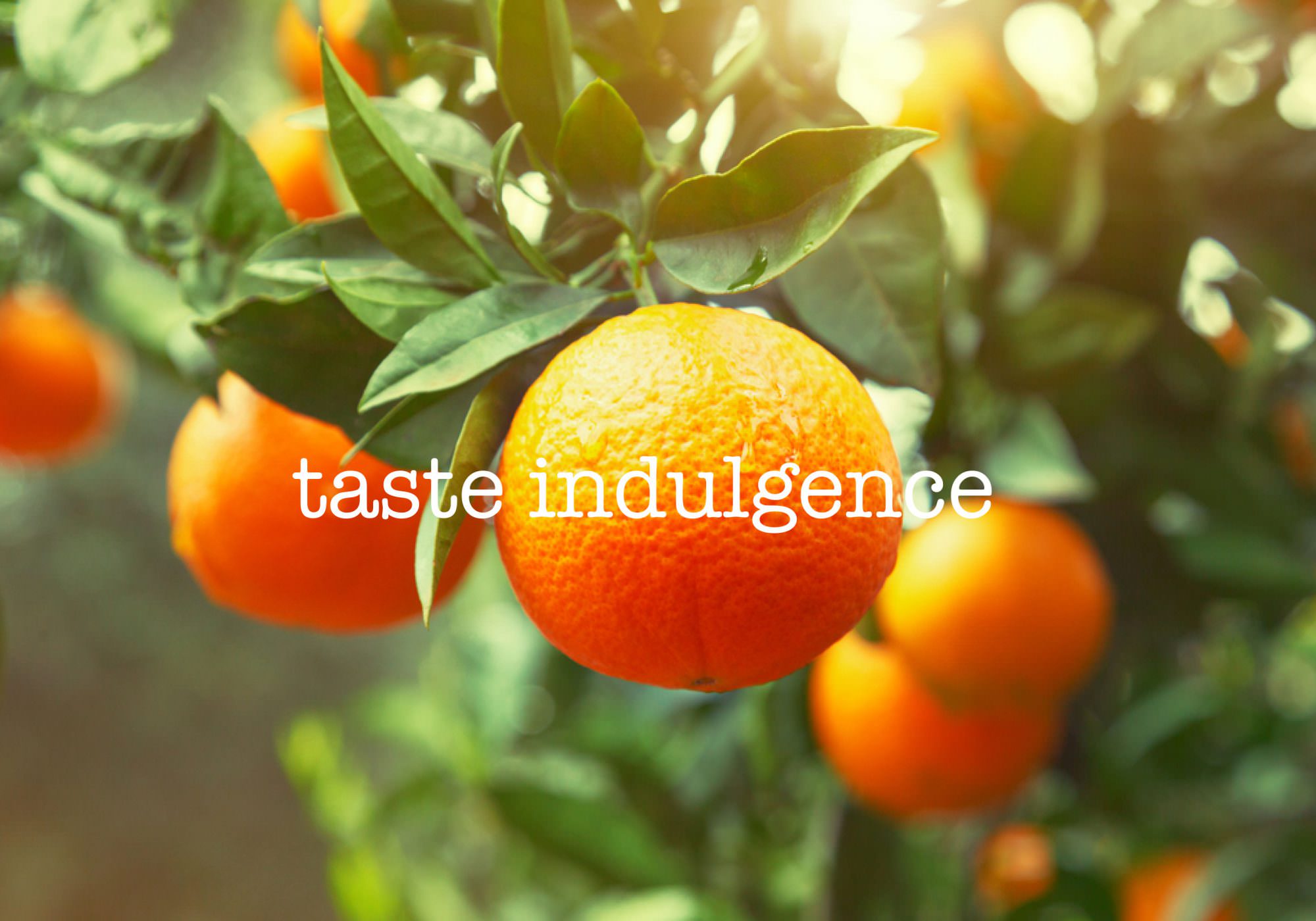 B.fresh – Ecommerce Website & Packaging Design In Shropshire