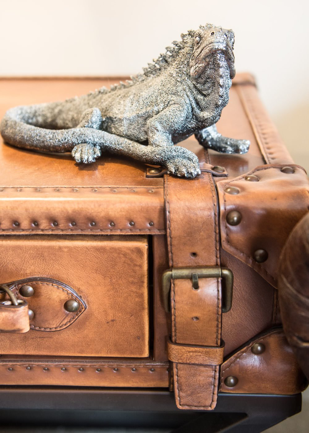 Darwin’s Townhouse - Brand Identity & Photography In Shropshire