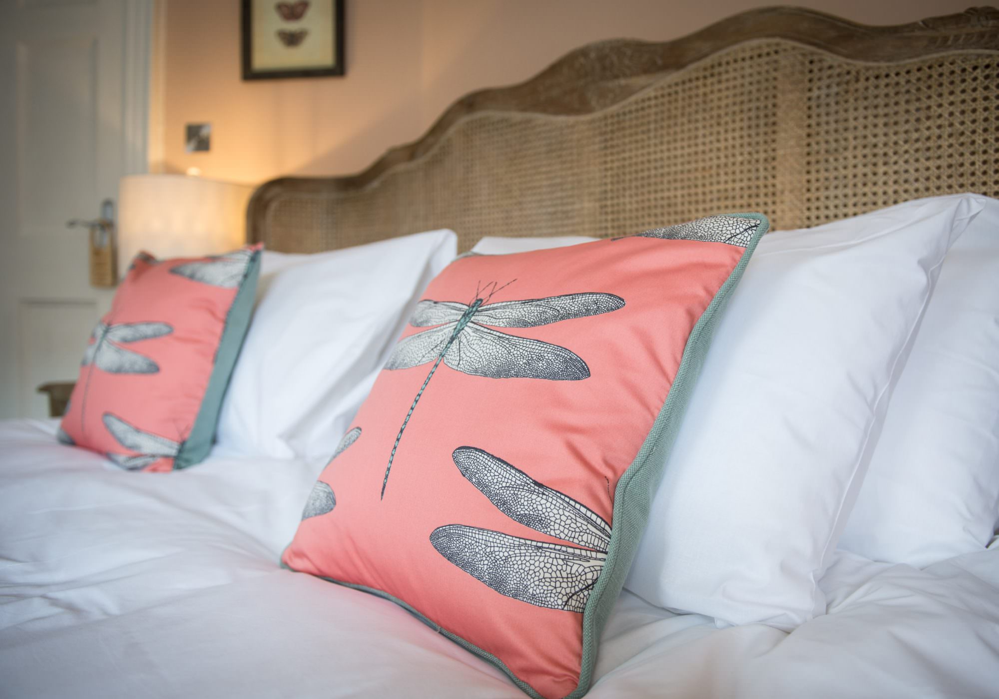 Darwin’s Townhouse - Brand Identity & Photography In Shropshire