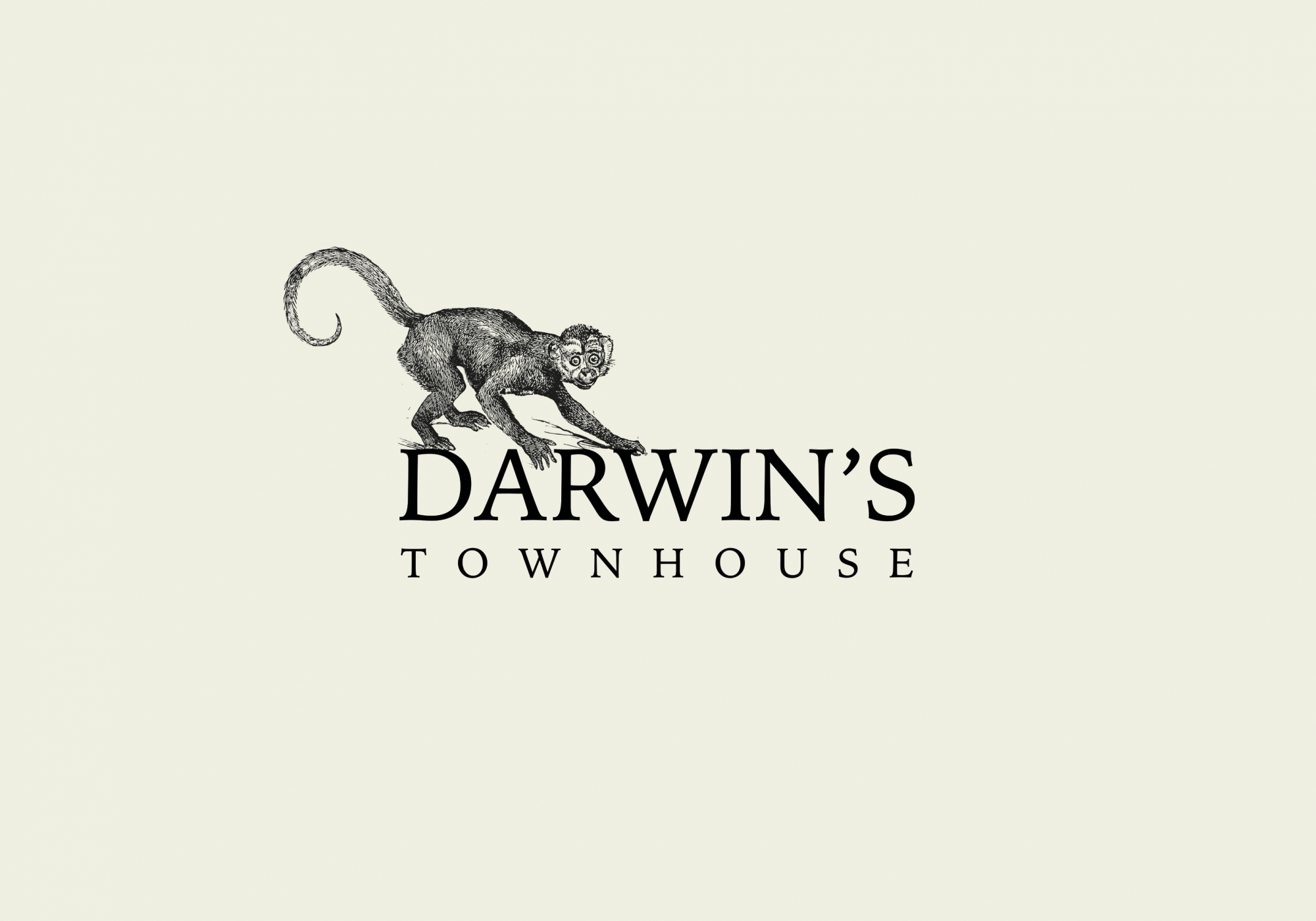 Darwin’s Townhouse - Brand Identity & Photography In Shropshire