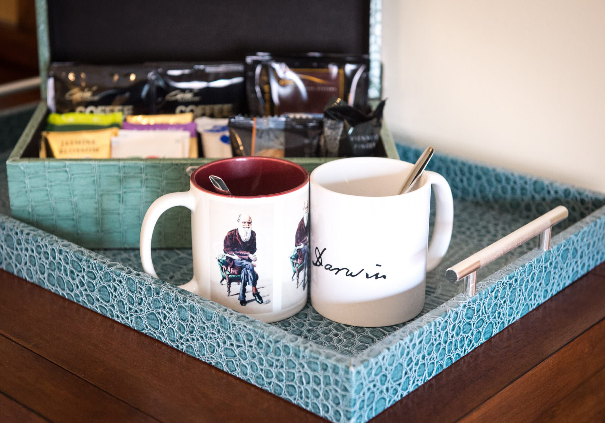 Darwin’s Townhouse - Brand Identity & Photography In Shropshire