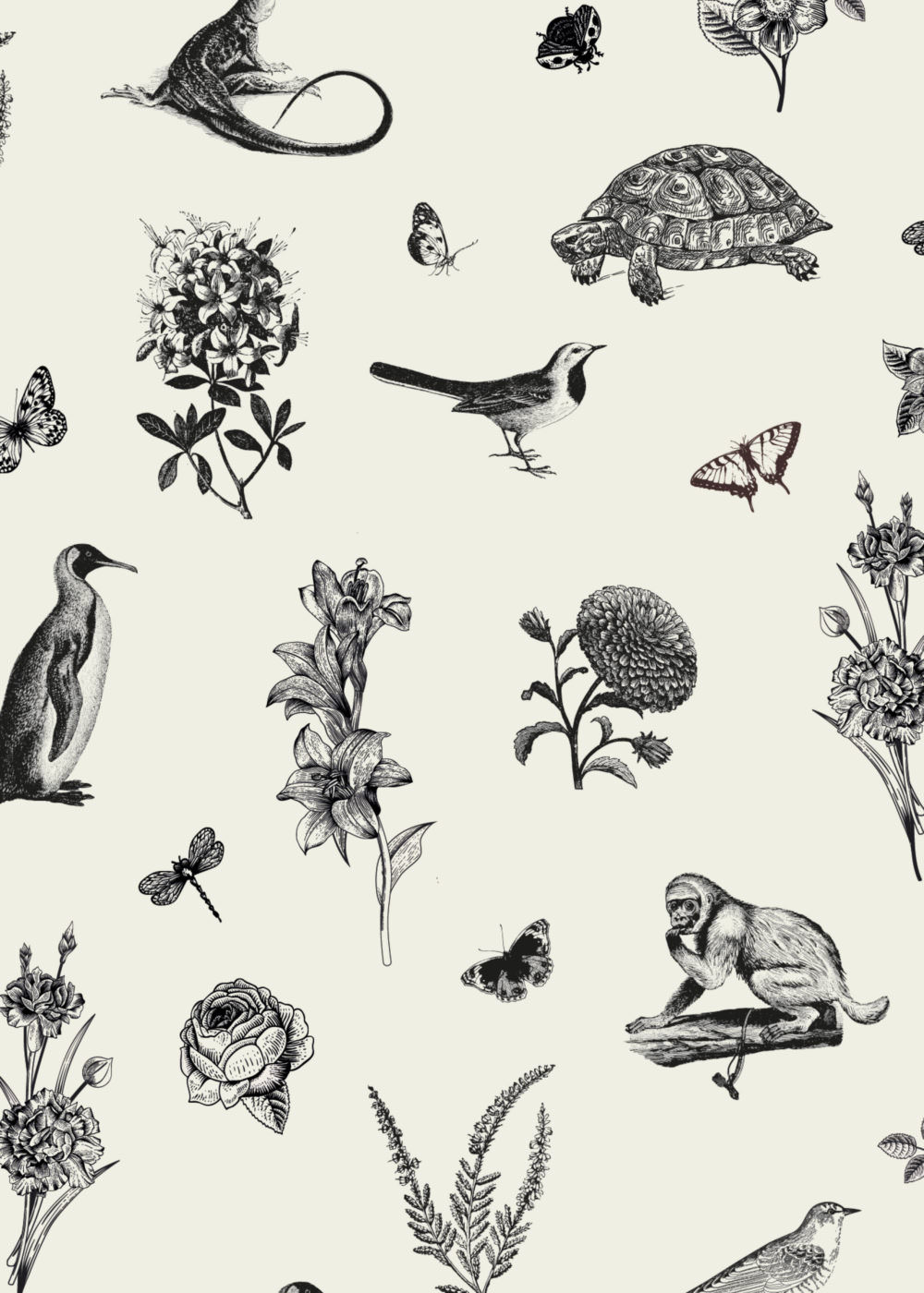 Darwin’s Townhouse - Brand Identity & Photography In Shropshire