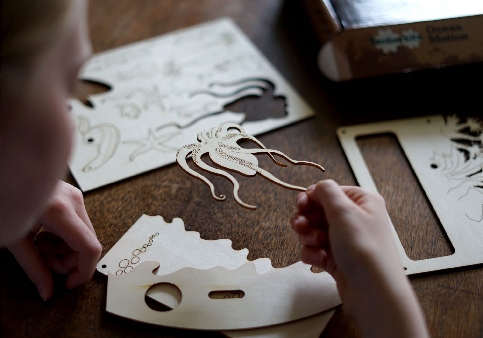 Timberkits - Packaging, Website Design & Stationery In Shropshire