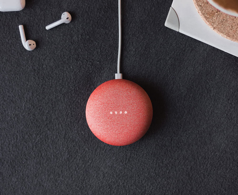 Voice Search Google Home Mini