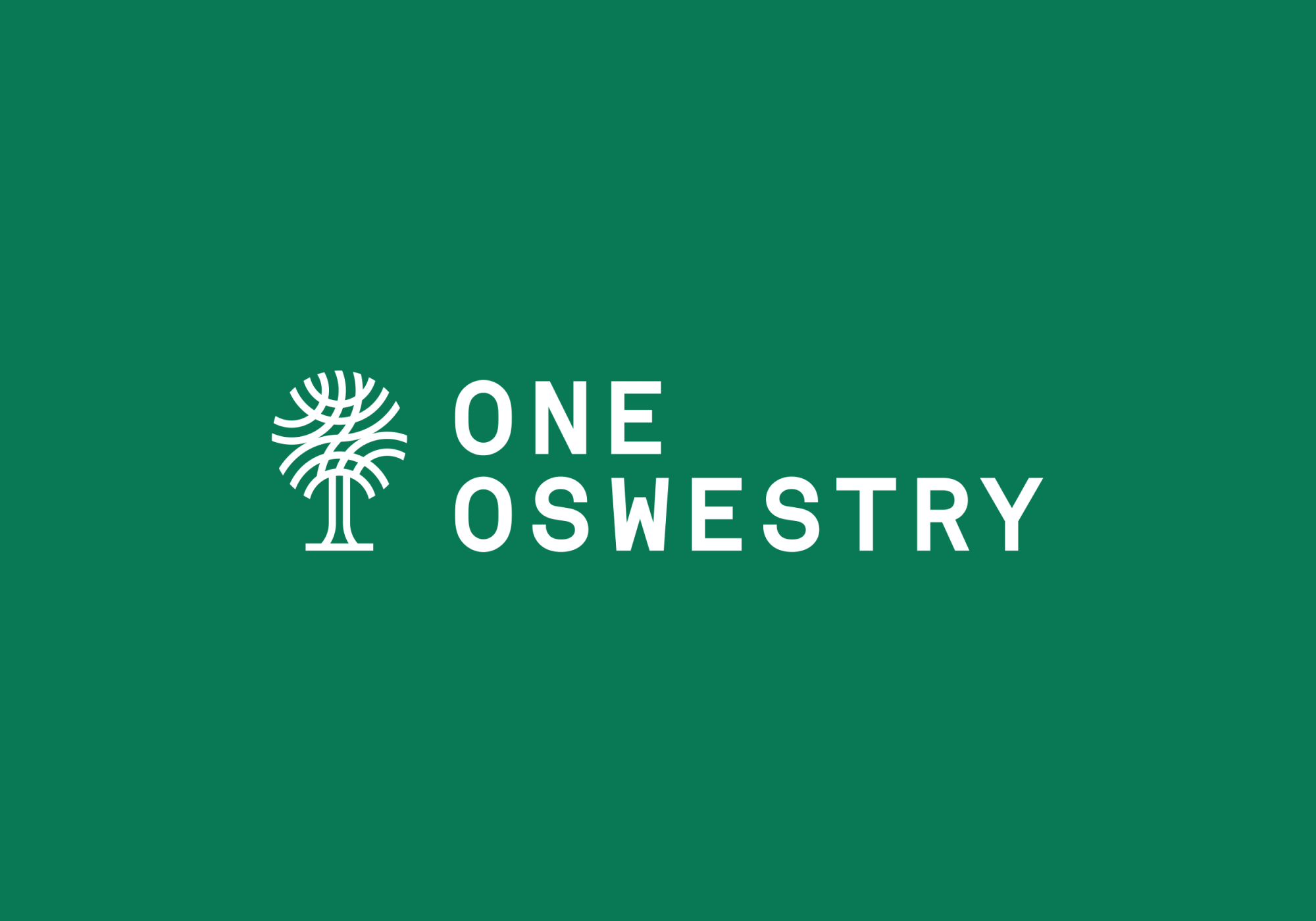 One Oswestry - Web Design, Stationery & Photography In Shropshire