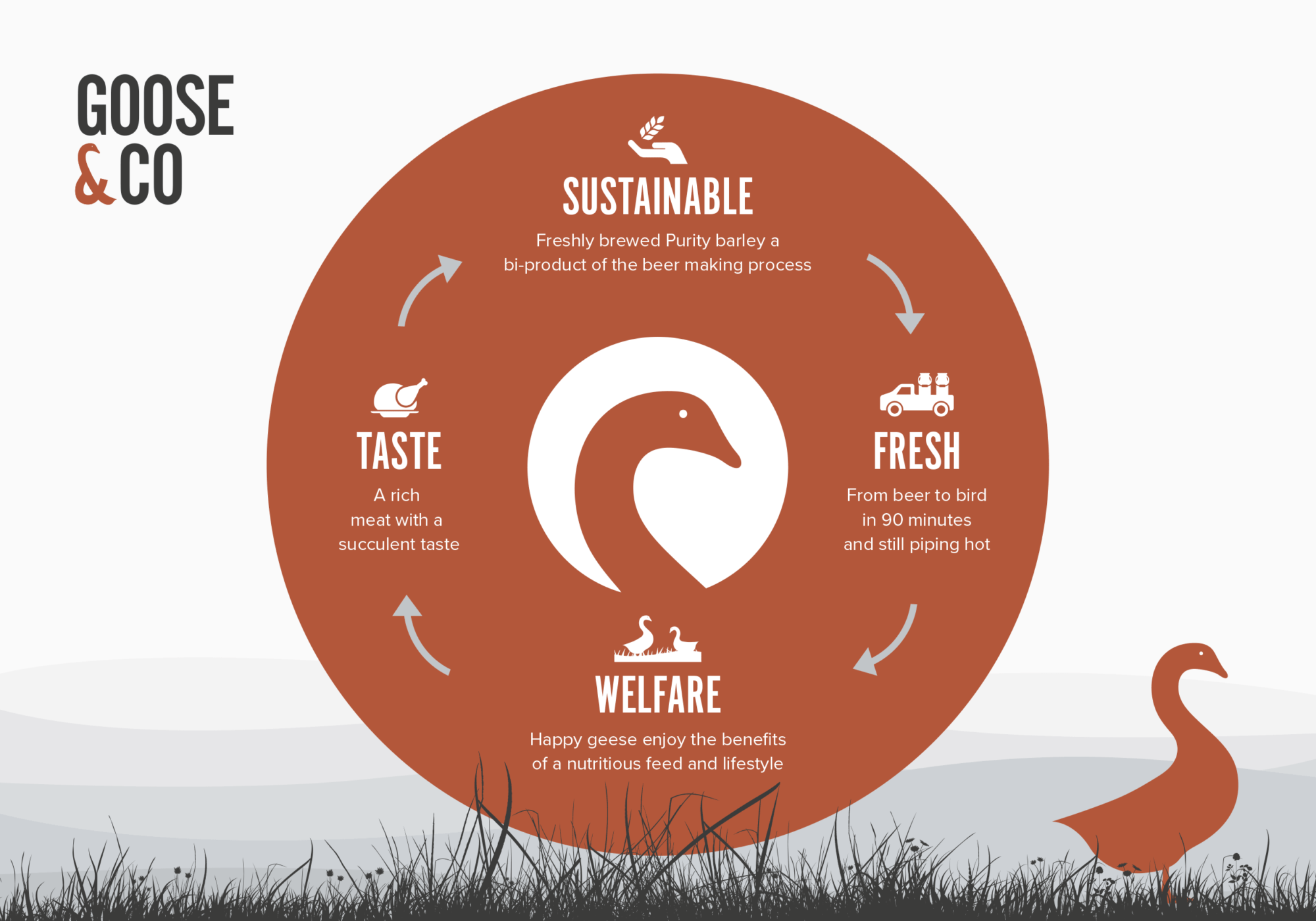Goose & Co - Branding, Web Design, Digital Marketing & Social