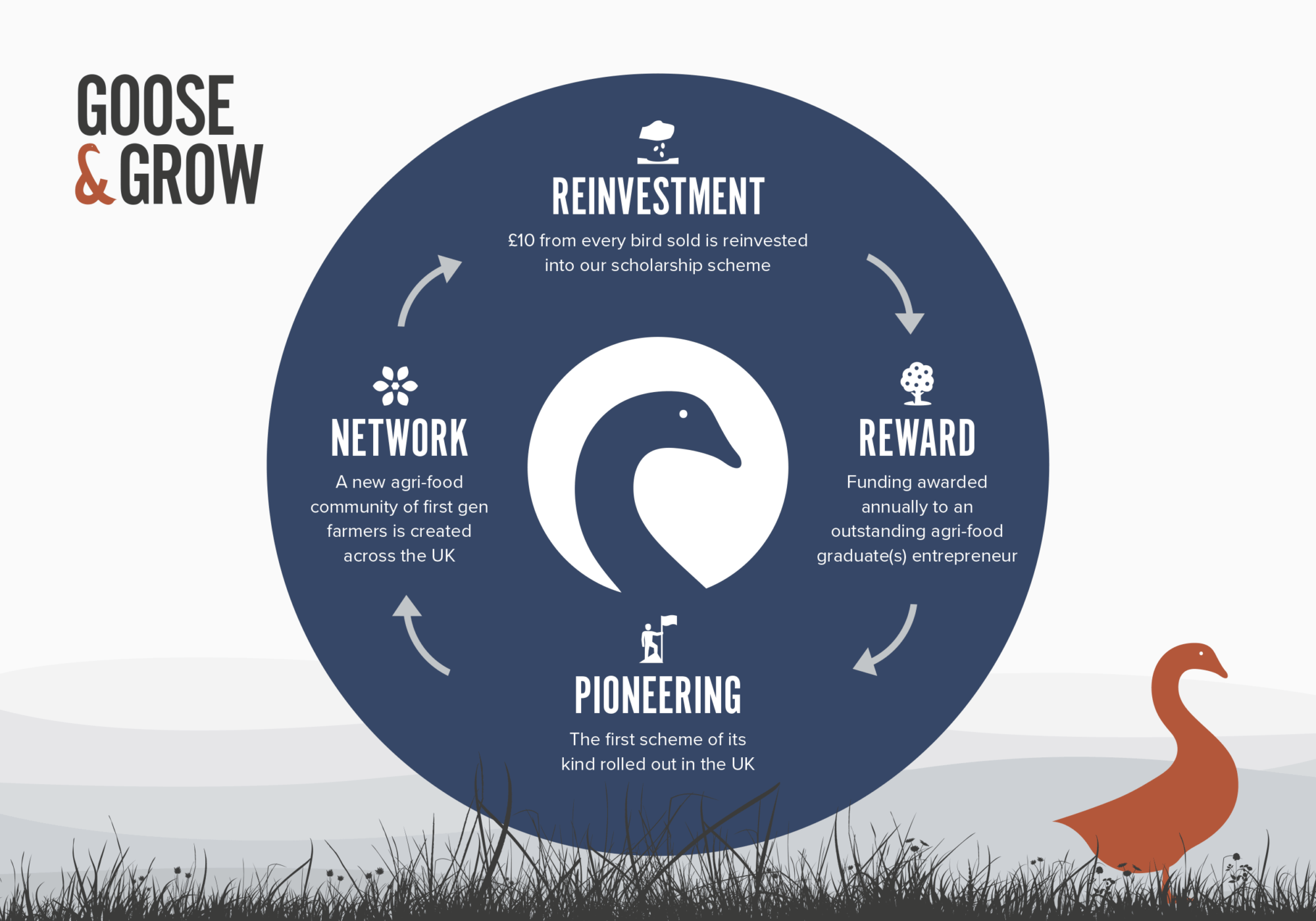 Goose & Co - Branding, Web Design, Digital Marketing & Social