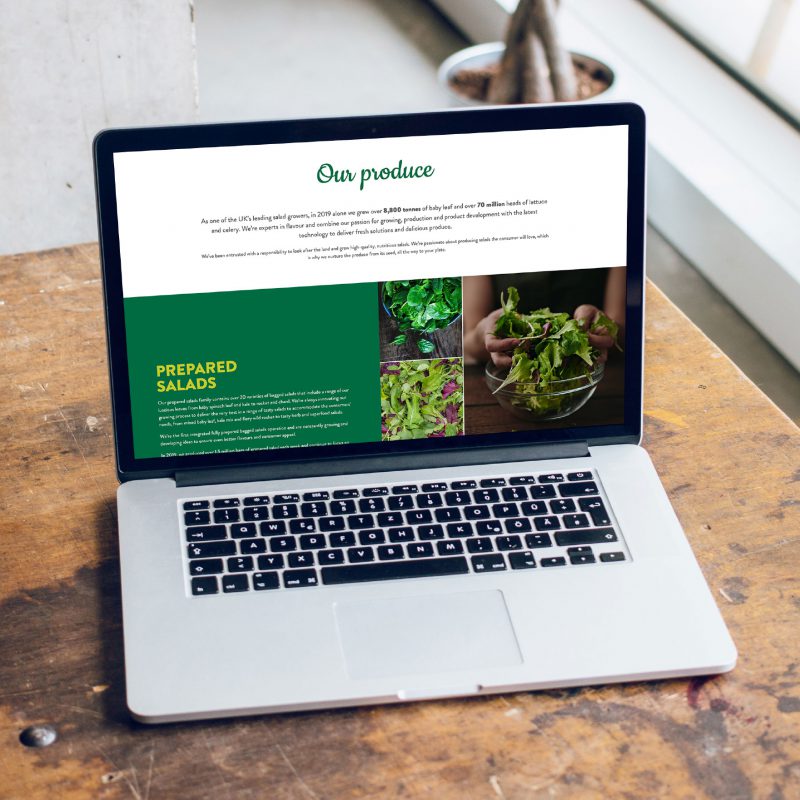 PDM website