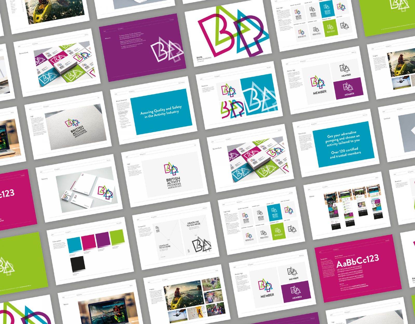 BAPA brand guidelines