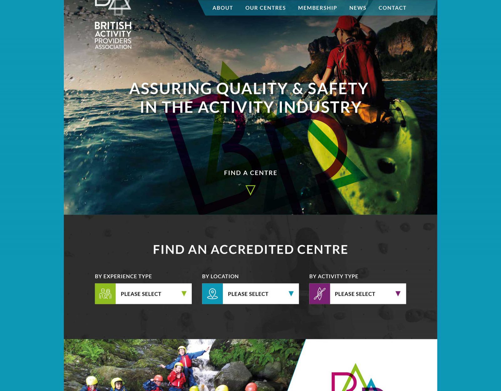 BAPA web