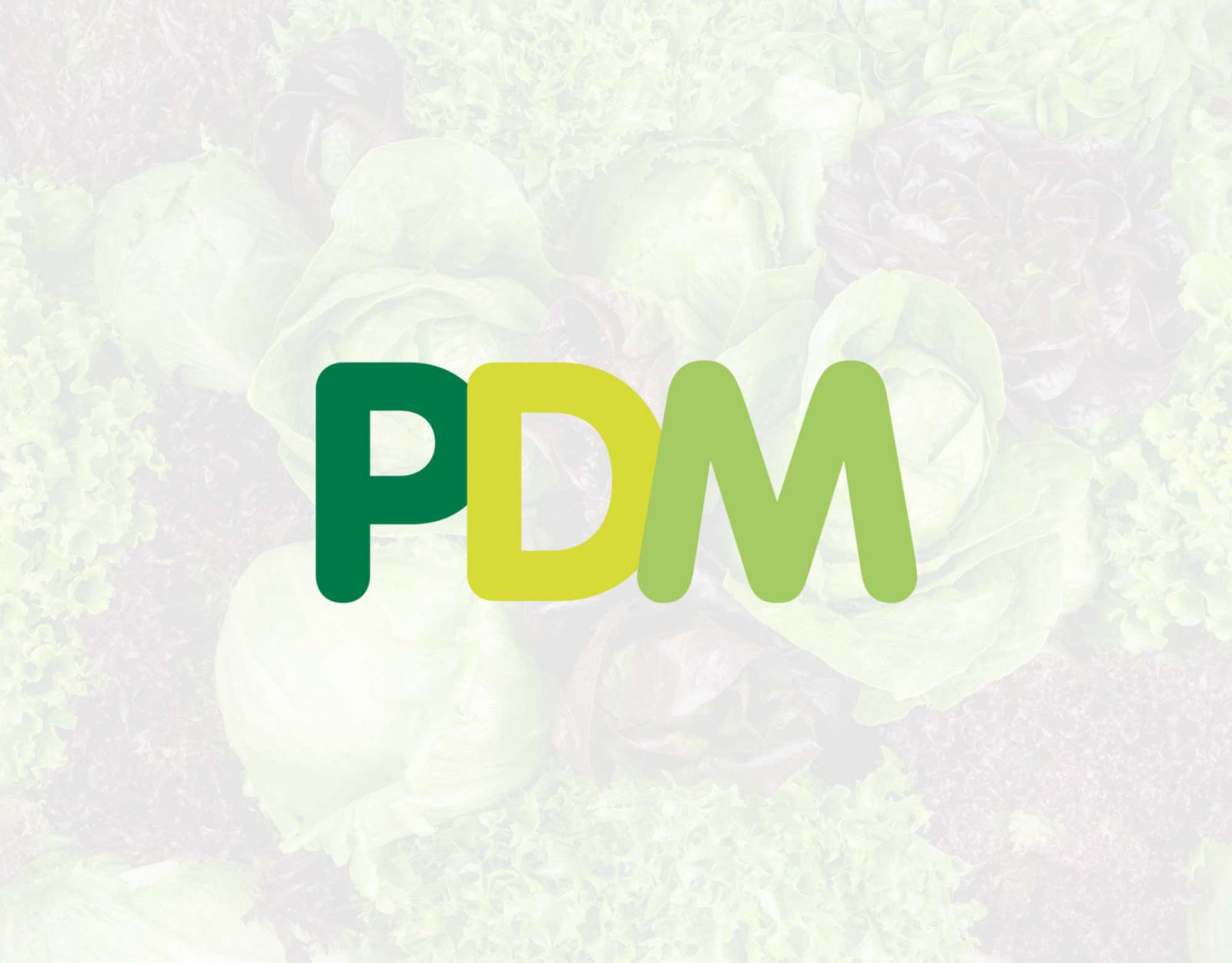 PDM logo