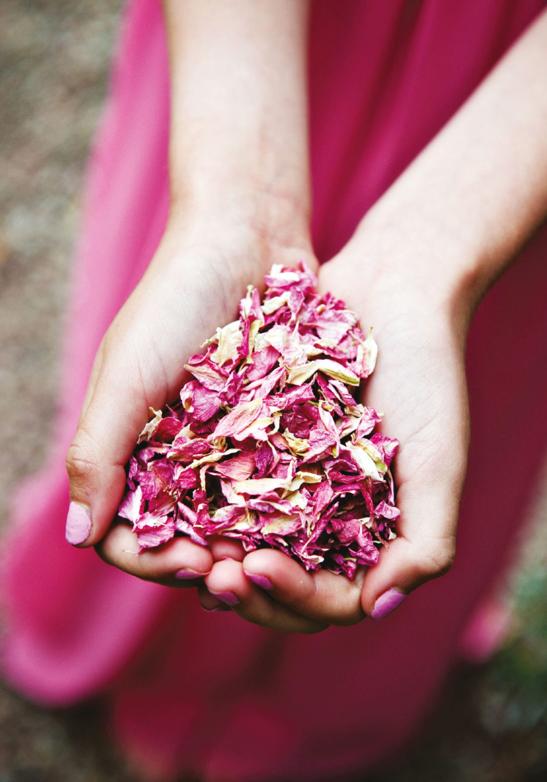 Shropshire Petals handful of petals